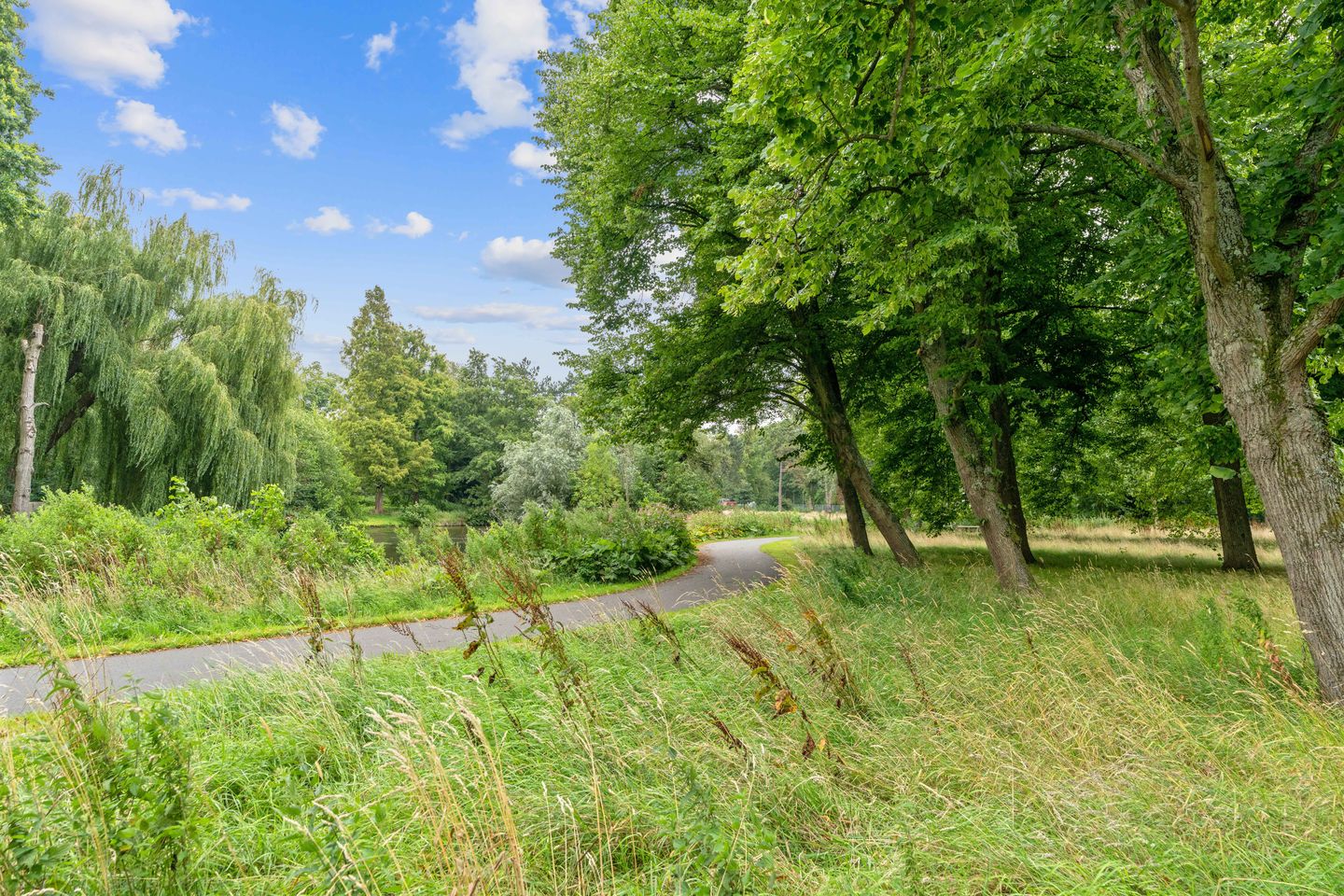 Photo 50 of Maasstraat 46