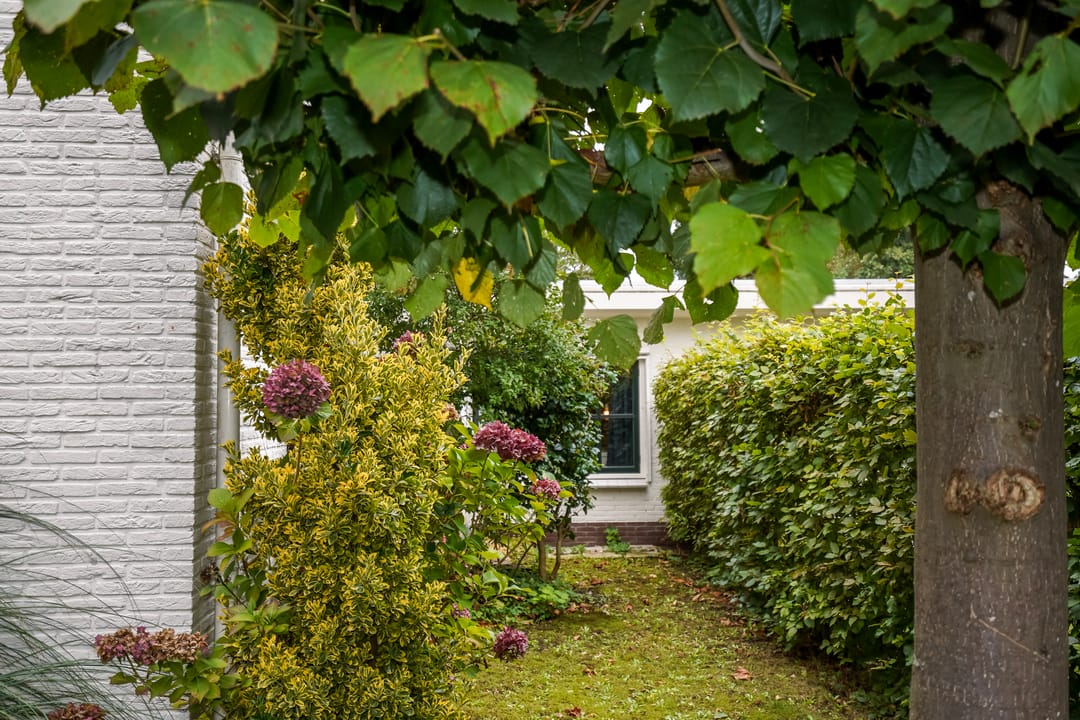 Foto 7 van Lebretweg 70