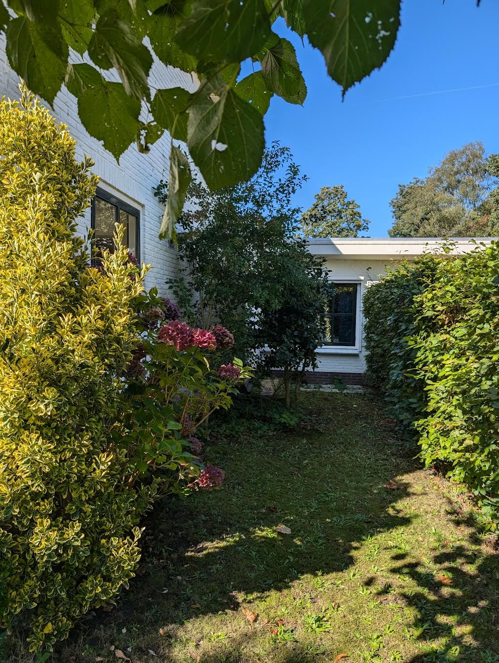 Foto 60 van Lebretweg 70