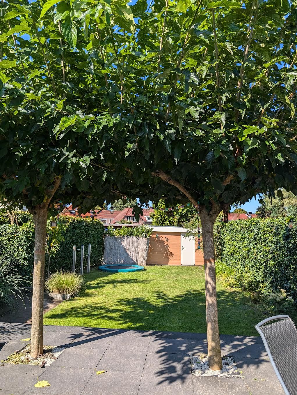 Foto 61 van Lebretweg 70