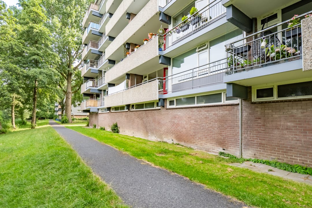 Foto 26 van Lijsterbesstraat 216