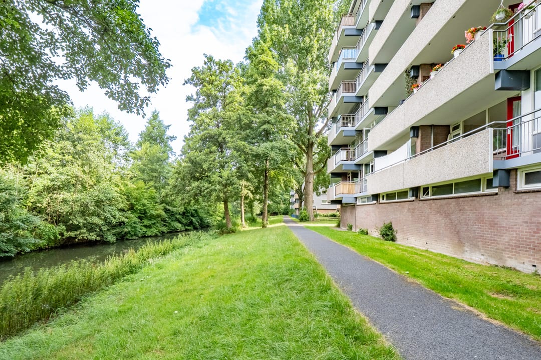 Foto 28 van Lijsterbesstraat 216