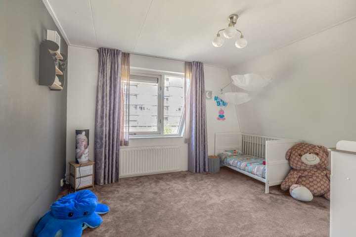 Photo 24 of Pieter acker 18