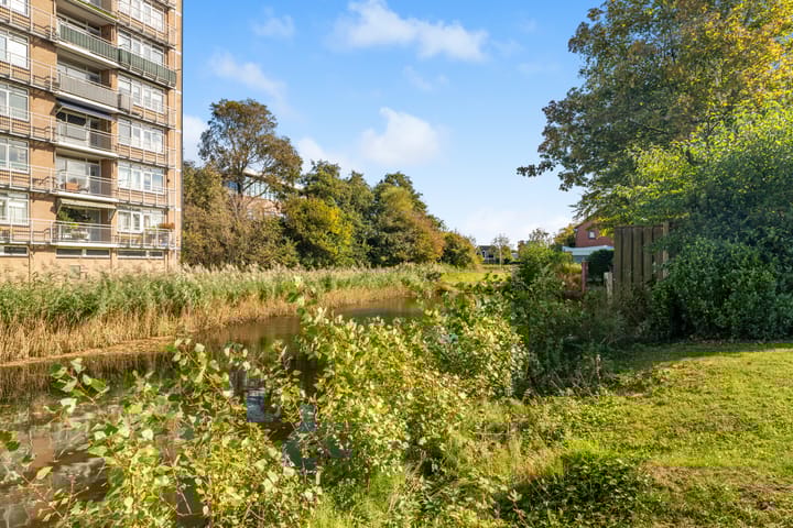 Photo 39 of Pieter acker 18