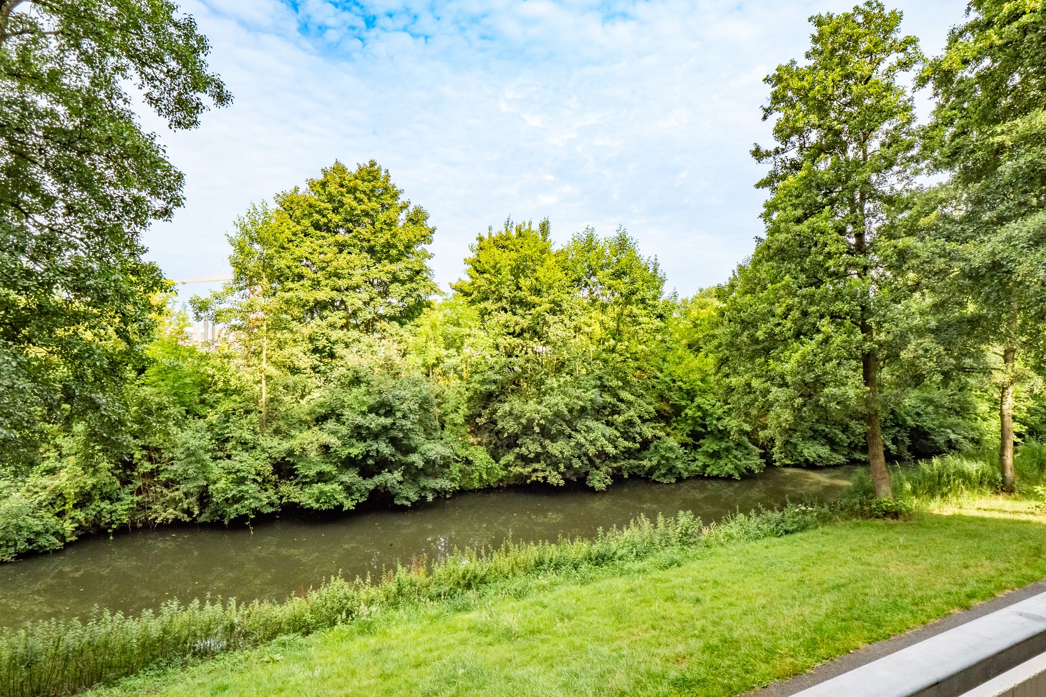 Foto 18 van Lijsterbesstraat 216