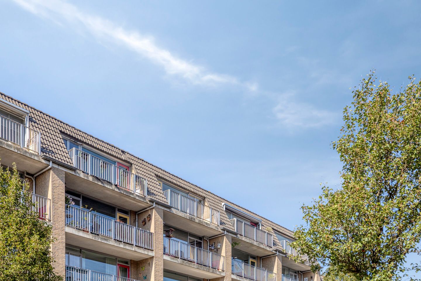 Foto 25 van Veemarkt 165