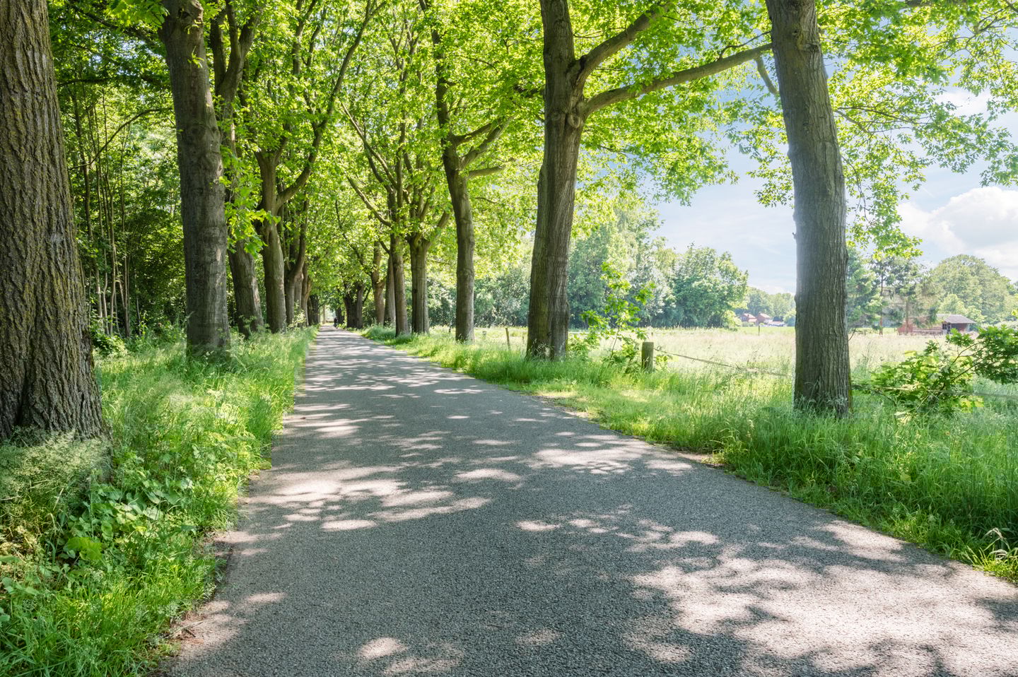 Foto 25 van Zanddijk 18