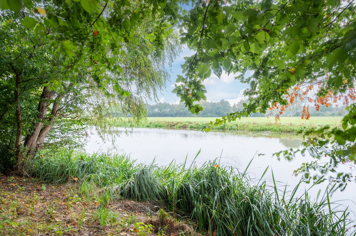 Foto 29 van Zanddijk 18