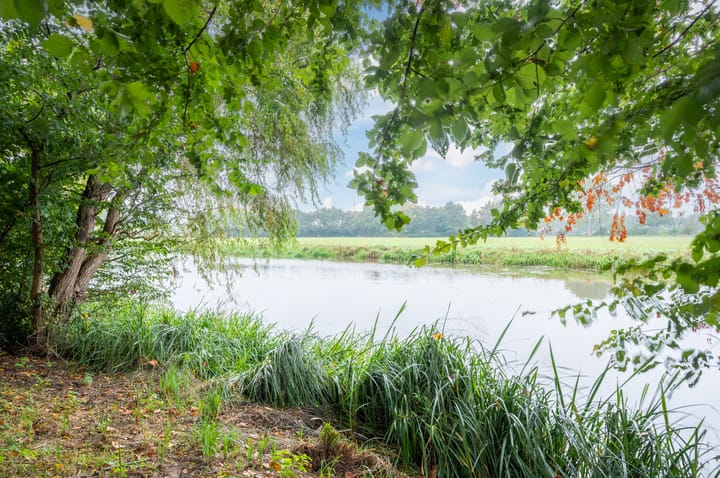 Foto 29 van Zanddijk 18