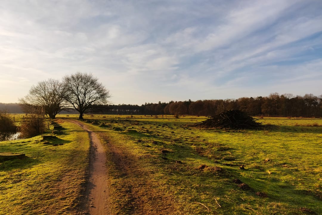 Foto 32 van Zanddijk 18