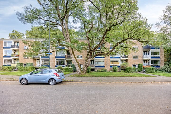 Foto 19 van Waltersingel 30-A