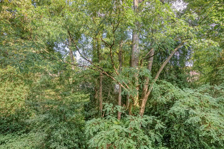 Foto 22 van Waltersingel 30-A