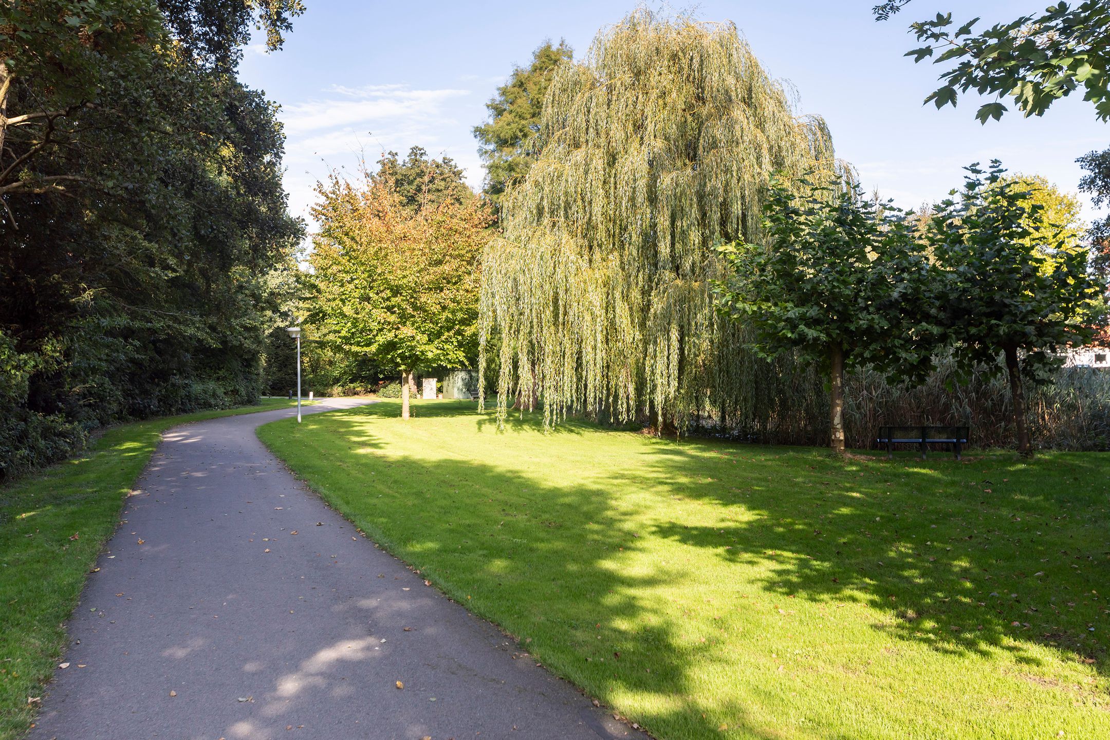 Foto 30 van Buitenplaats 15