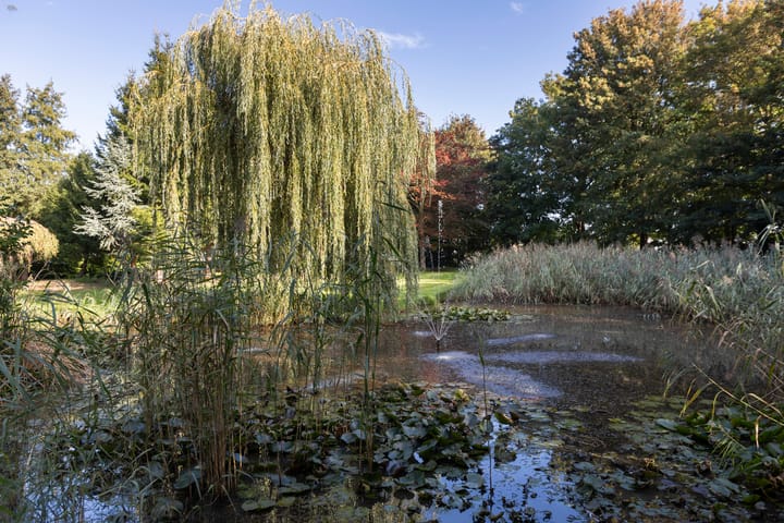 Foto 31 van Buitenplaats 15