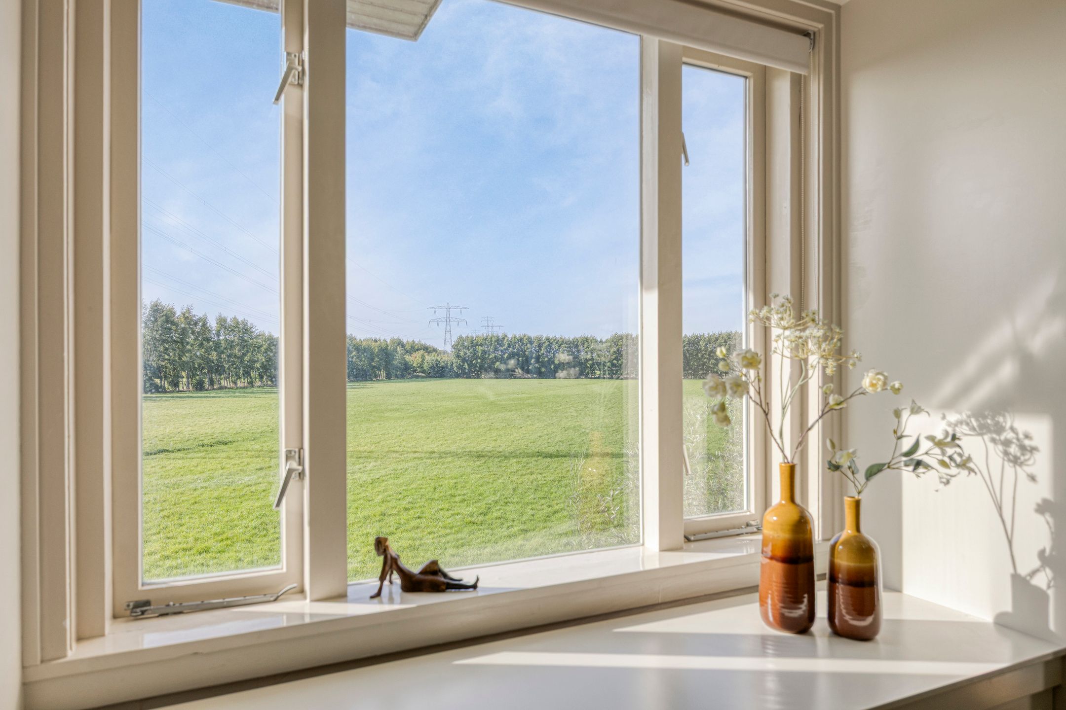 Foto 15 van Albrandswaardsedijk 24