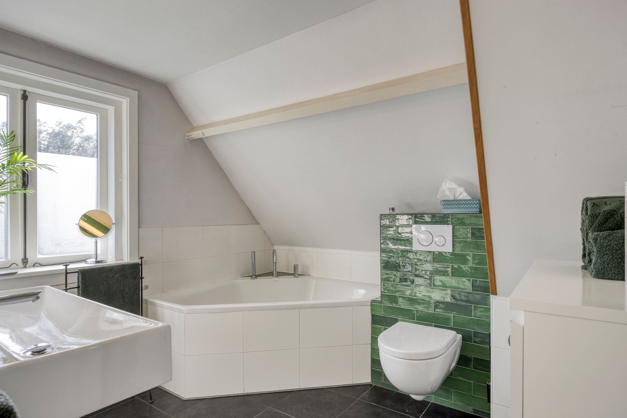 Foto 39 van Albrandswaardsedijk 24