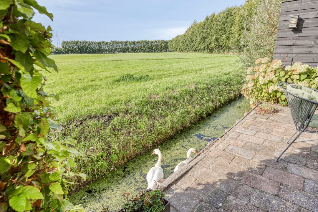 Foto 56 van Albrandswaardsedijk 24