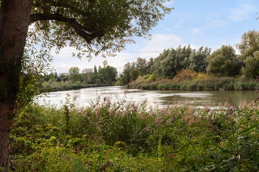 Foto 26 van Generaal S.H. Spoorstraat 443