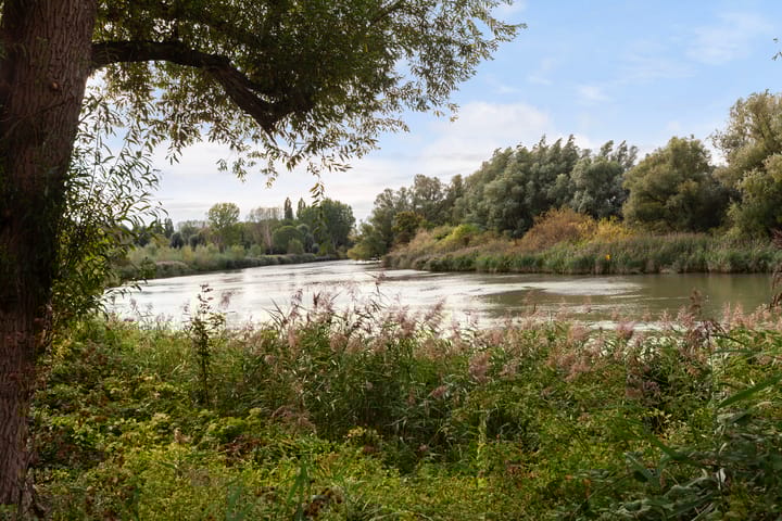 Foto 26 van Generaal S.H. Spoorstraat 443