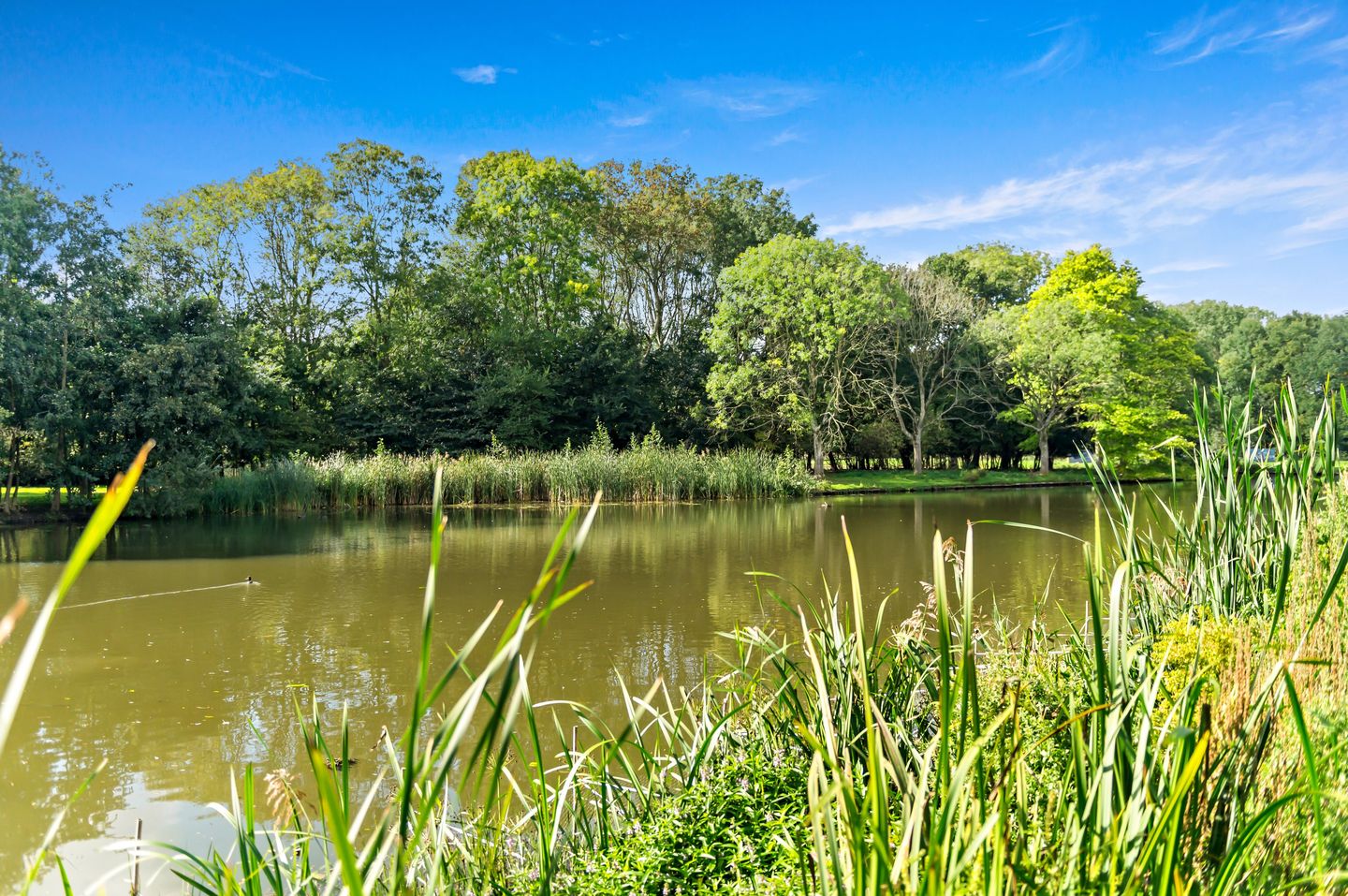 Foto 50 van Karperdaal 147