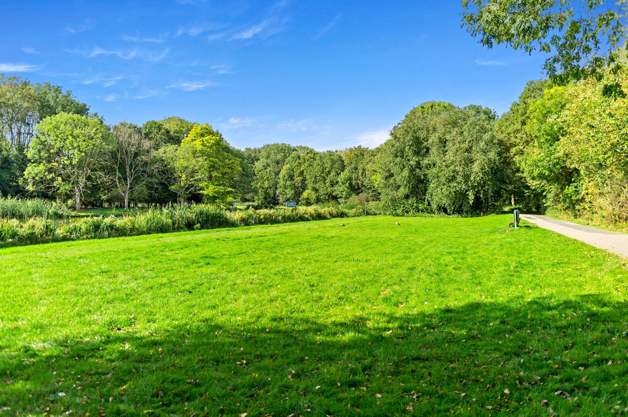 Foto 51 van Karperdaal 147