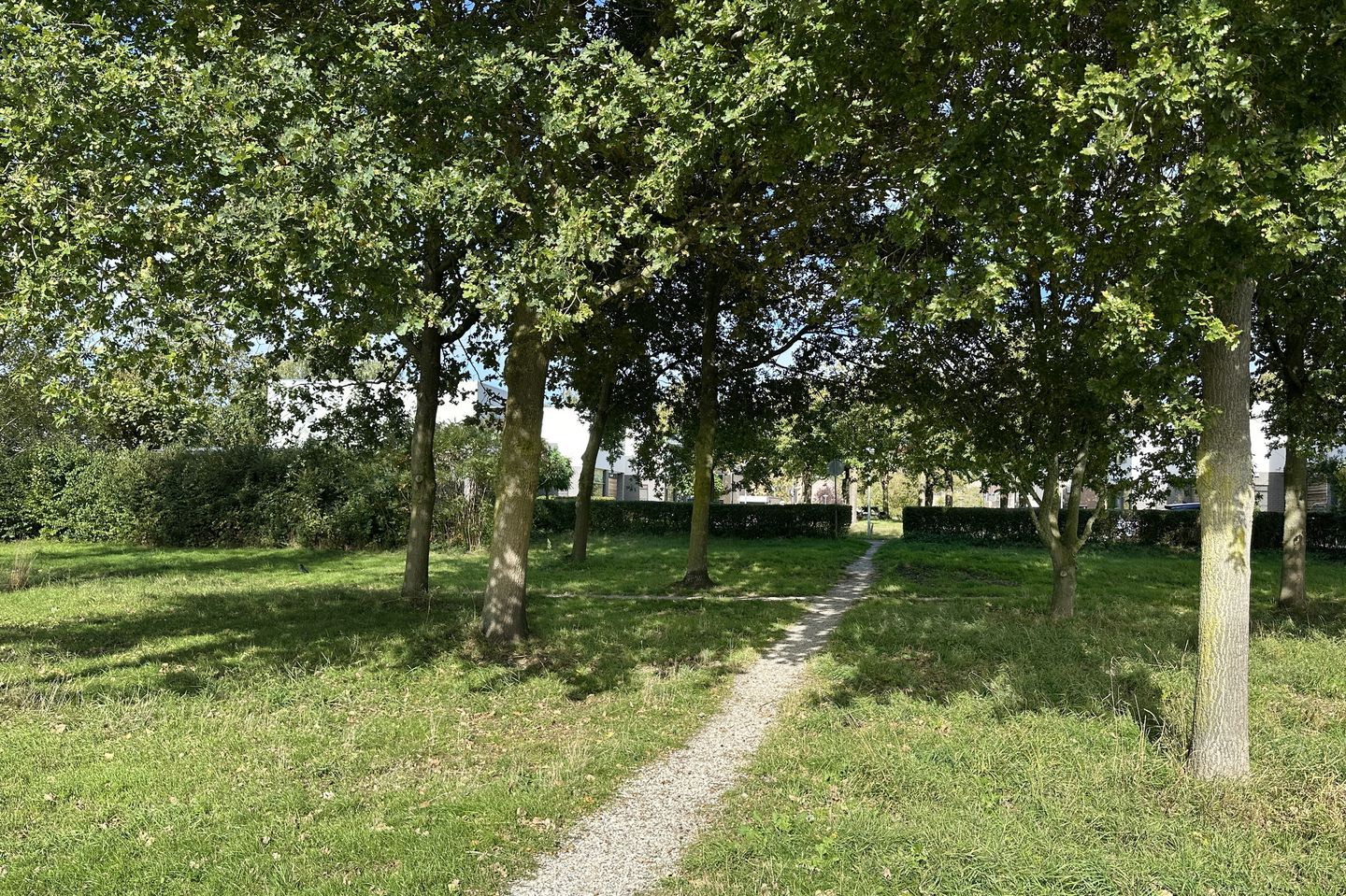 Foto 29 van Impalastraat 8