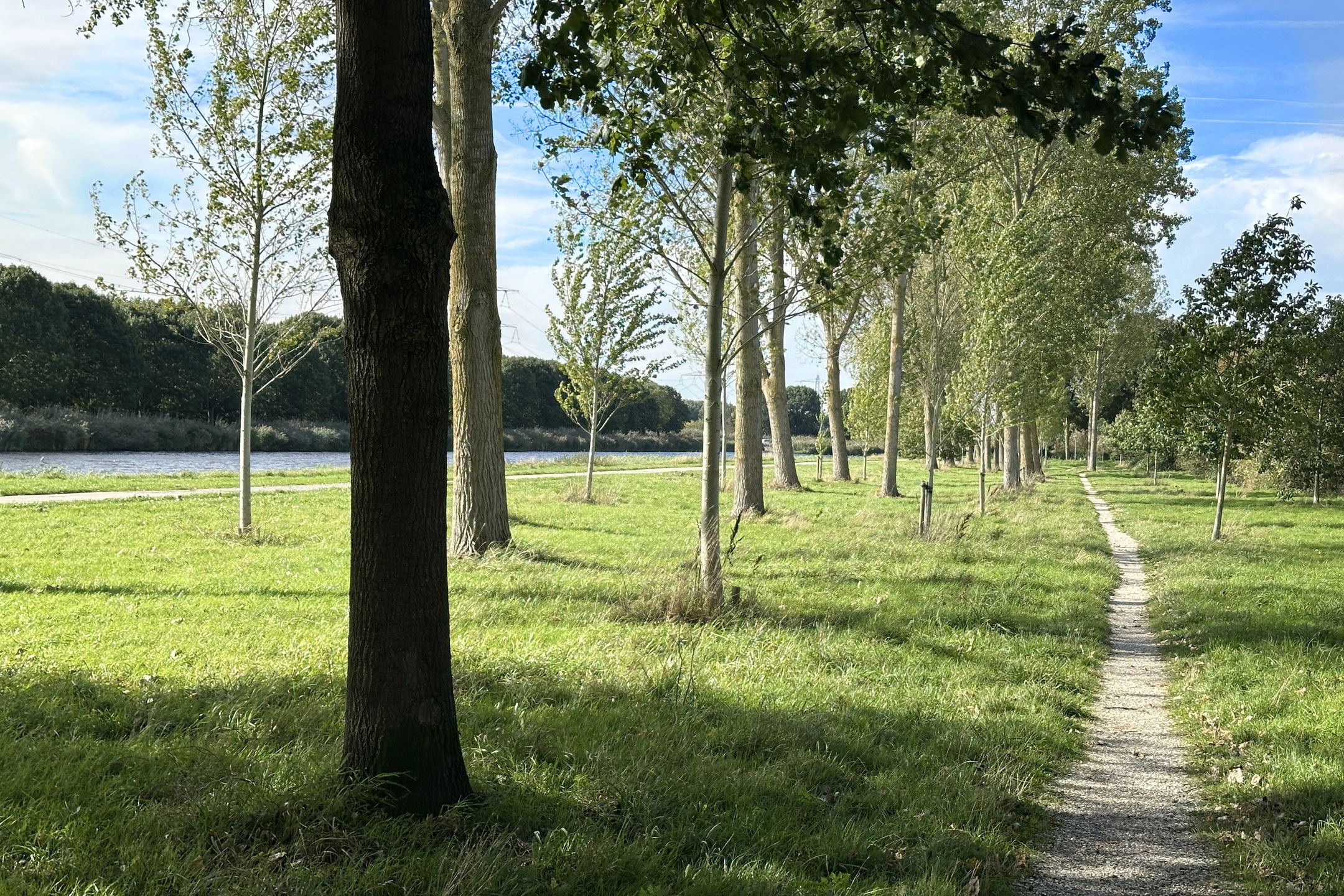 Foto 30 van Impalastraat 8