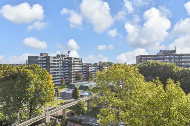 Foto 23 van Elzendreef 157