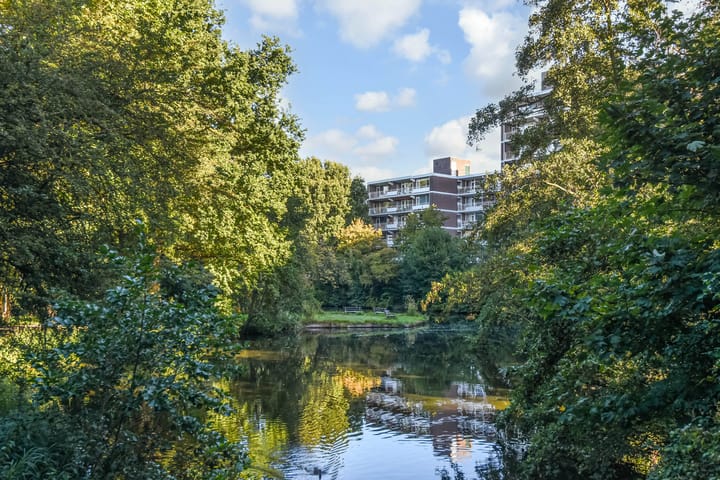 Foto 43 van Elzendreef 157