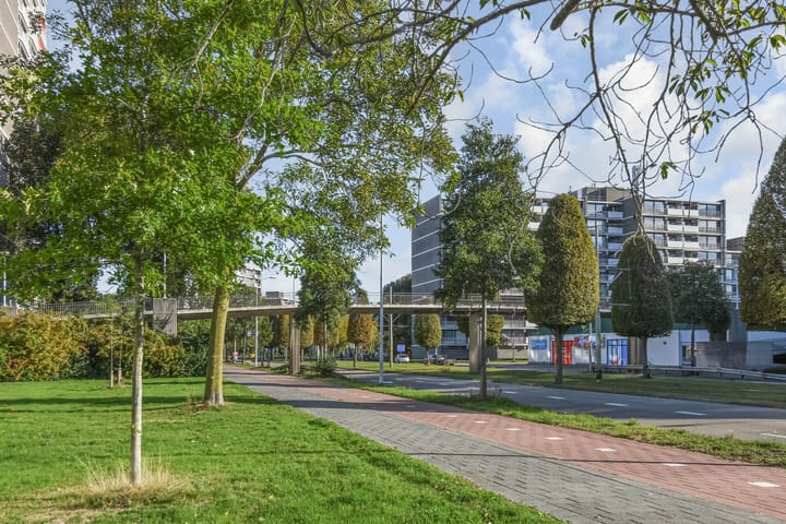 Foto 45 van Elzendreef 157