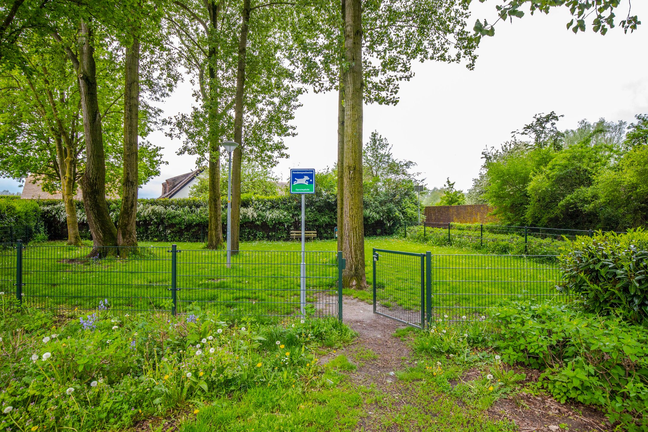 Foto 42 van Van der Hoevensstraat 62