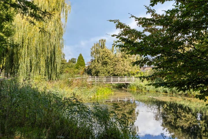 Foto 33 van Rompert Park 99