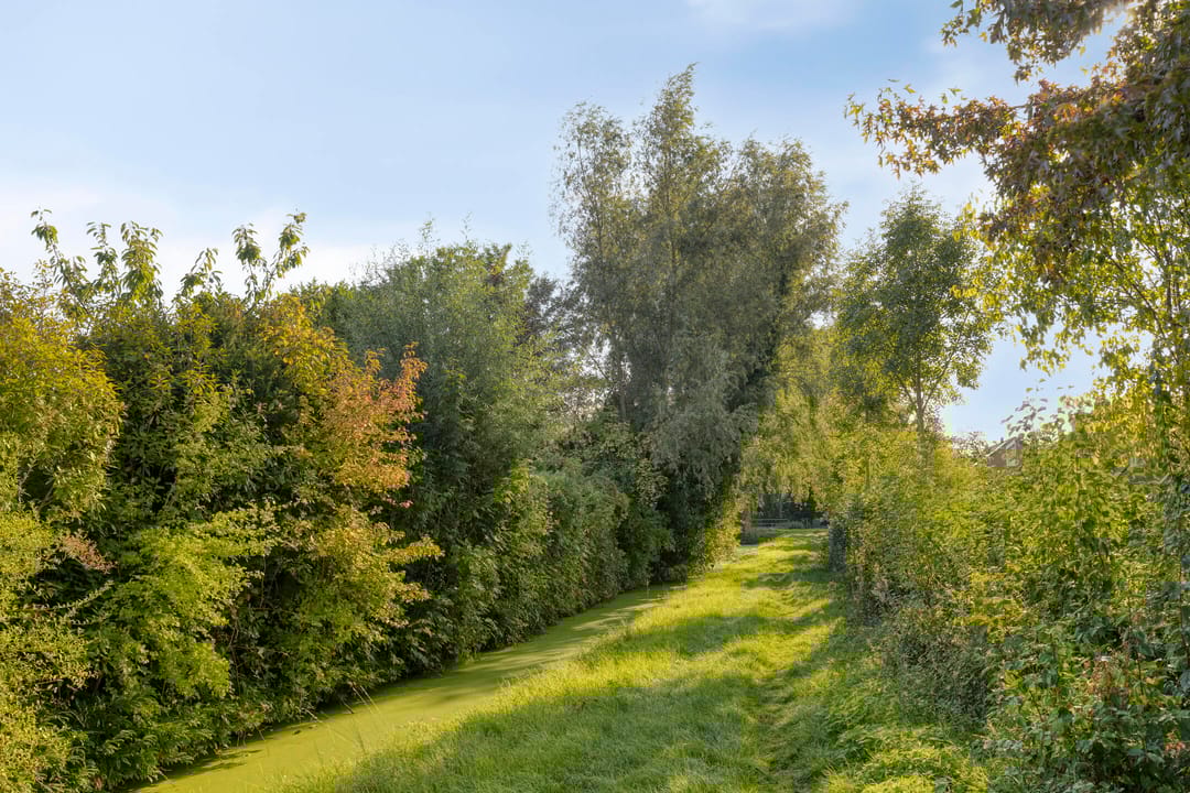 Photo 28 of Schoresteynstraat 19