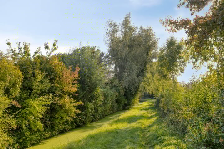 Foto 28 van Schoresteynstraat 19