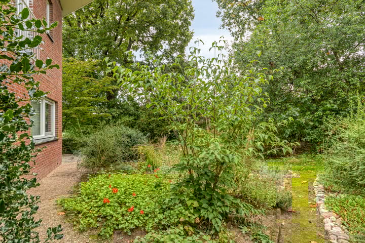 Photo 51 of W. Dreeslaan 49