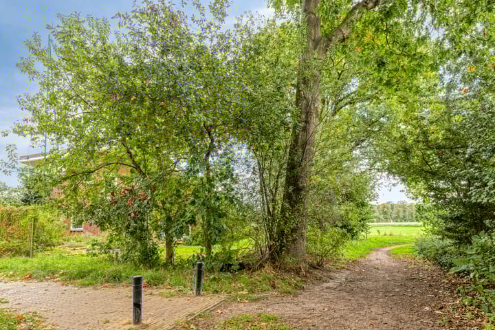 Photo 60 of W. Dreeslaan 49