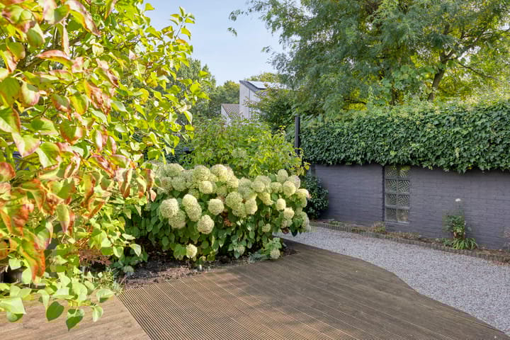 Photo 39 of Dolomiet 21