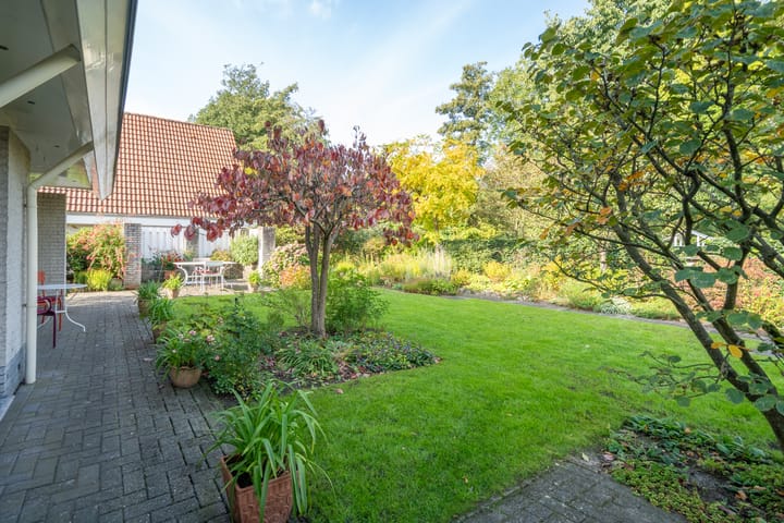 Foto 5 van Hondsdraf 12