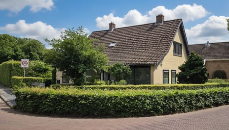 undefined main image