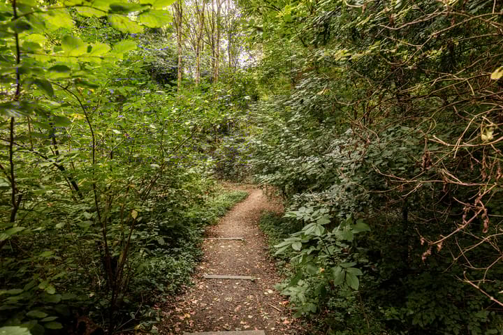 Photo 45 of Kaakstraat 12