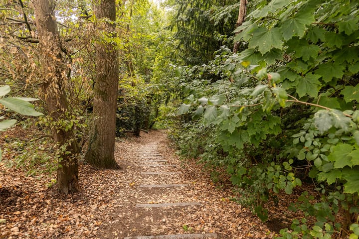 Photo 46 of Kaakstraat 12