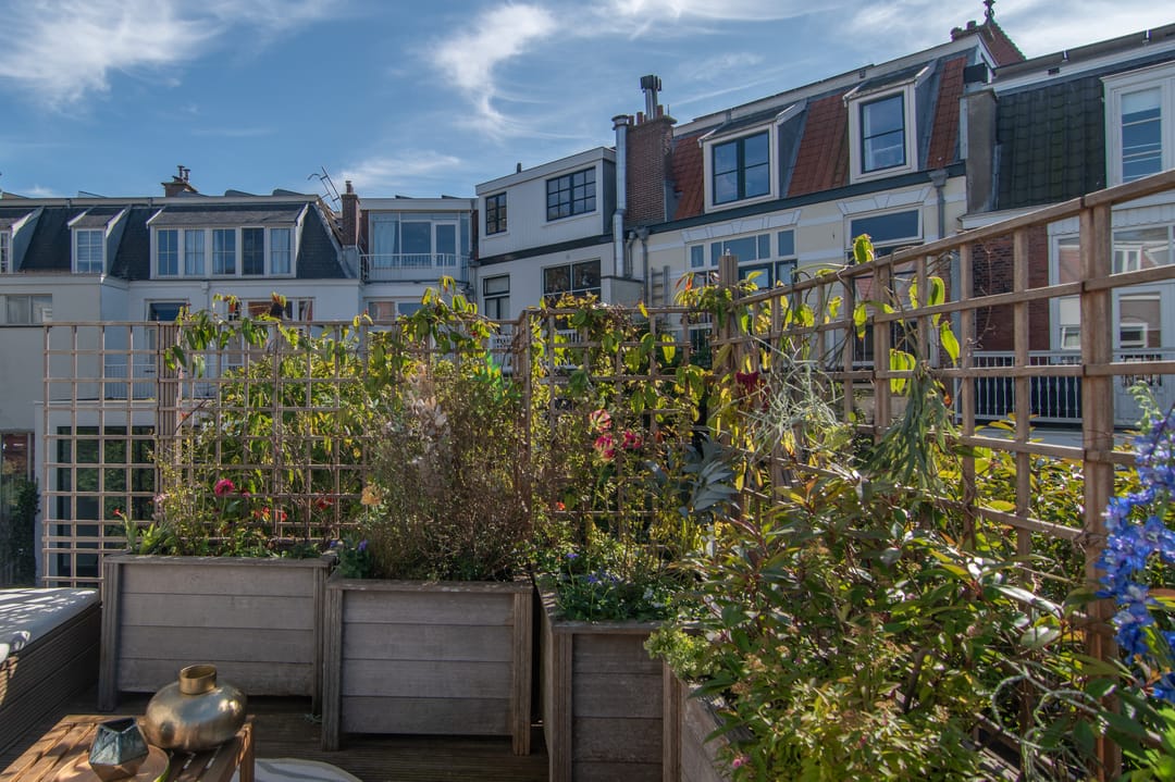 Foto 22 van Gentsestraat 107