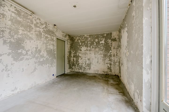 Foto 17 van Saffier 32