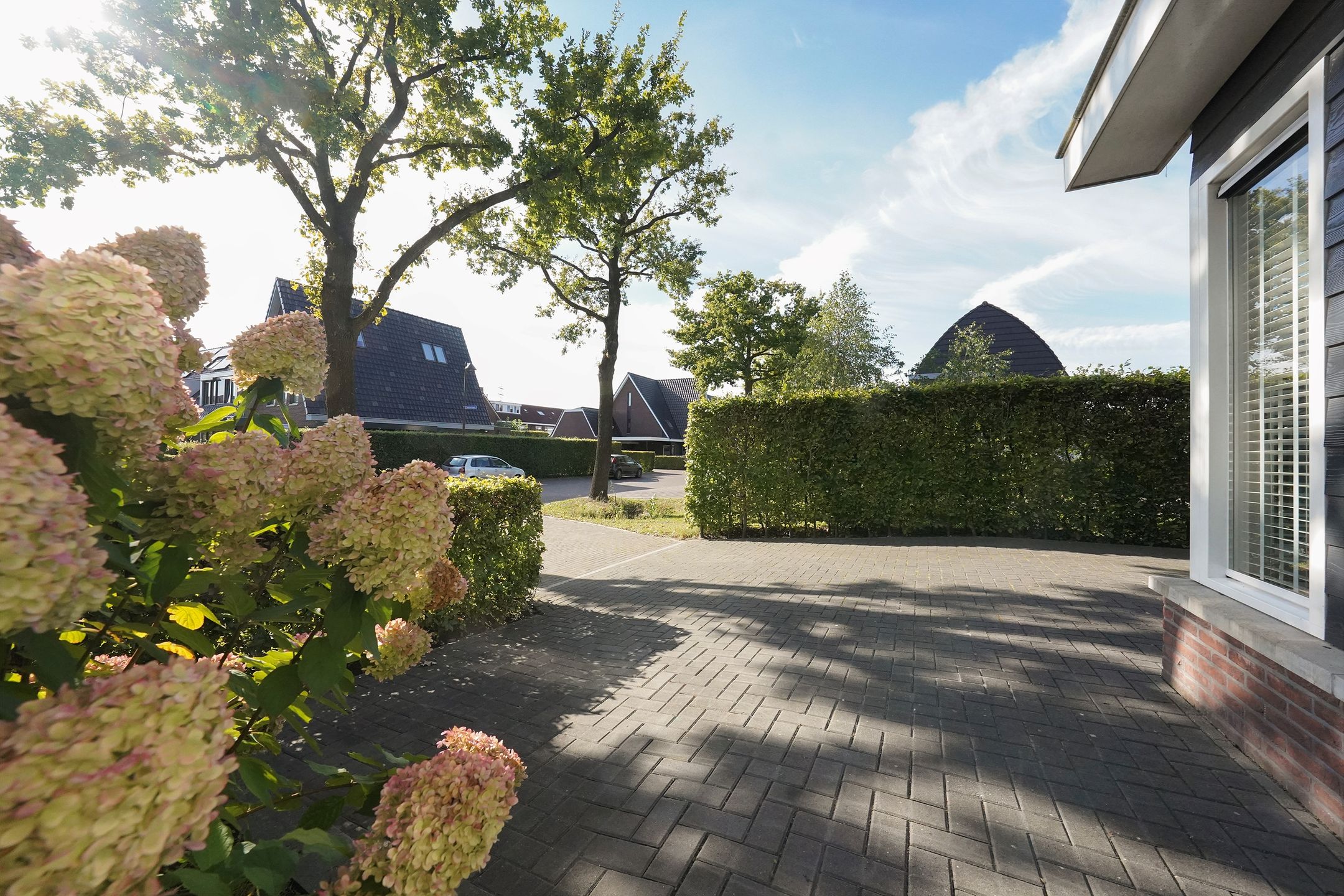 Foto 54 van Kelderskamp 36