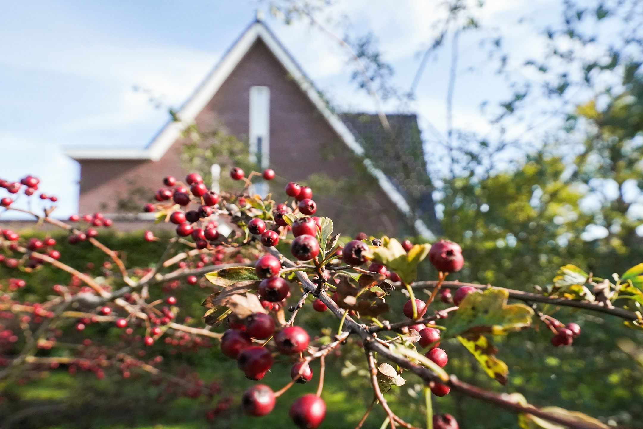 Foto 57 van Kelderskamp 36