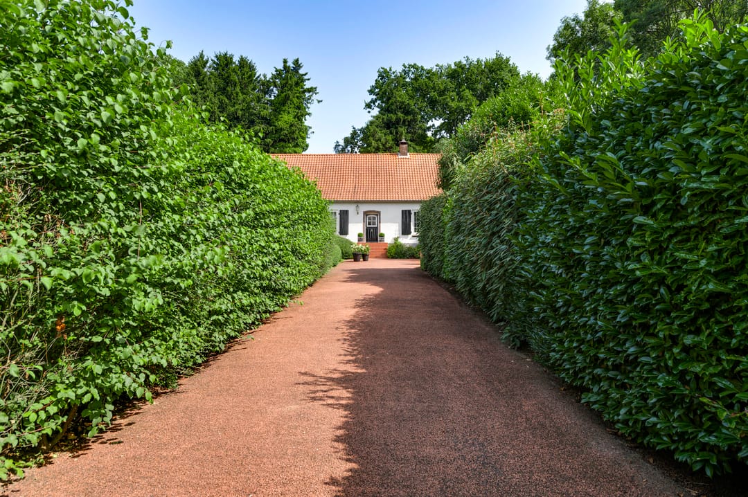 Photo 7 of De Weerd 9