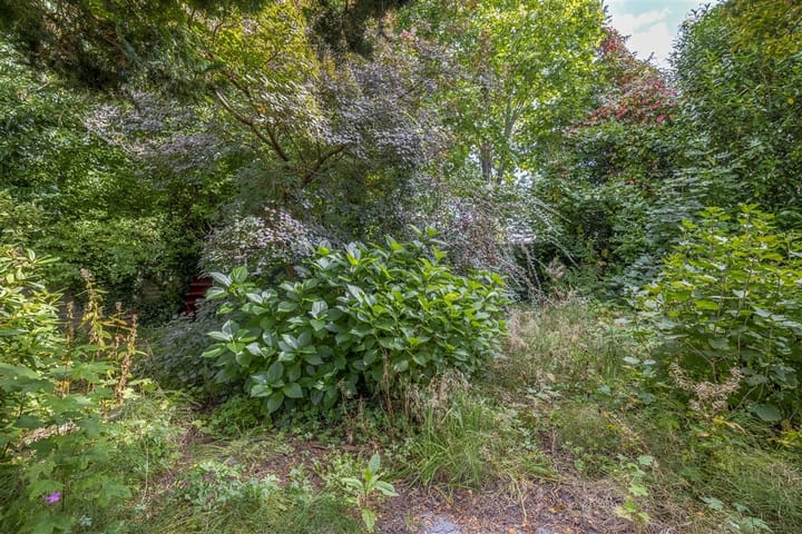 Foto 24 van Sportterreinstraat 10