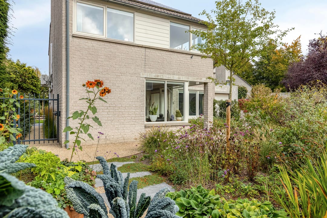 Photo 38 of Vunderke 16