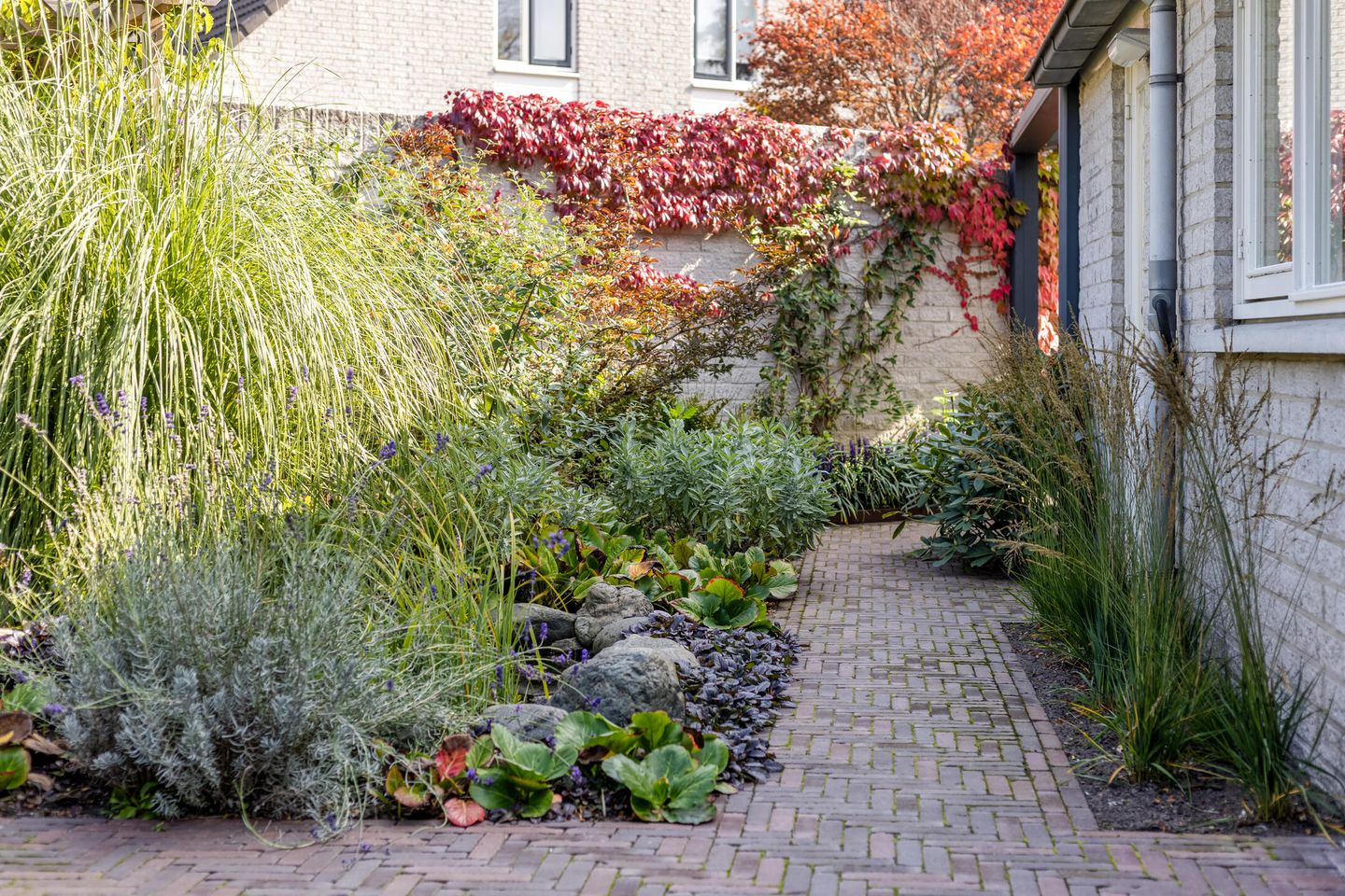 Photo 44 of Vunderke 16