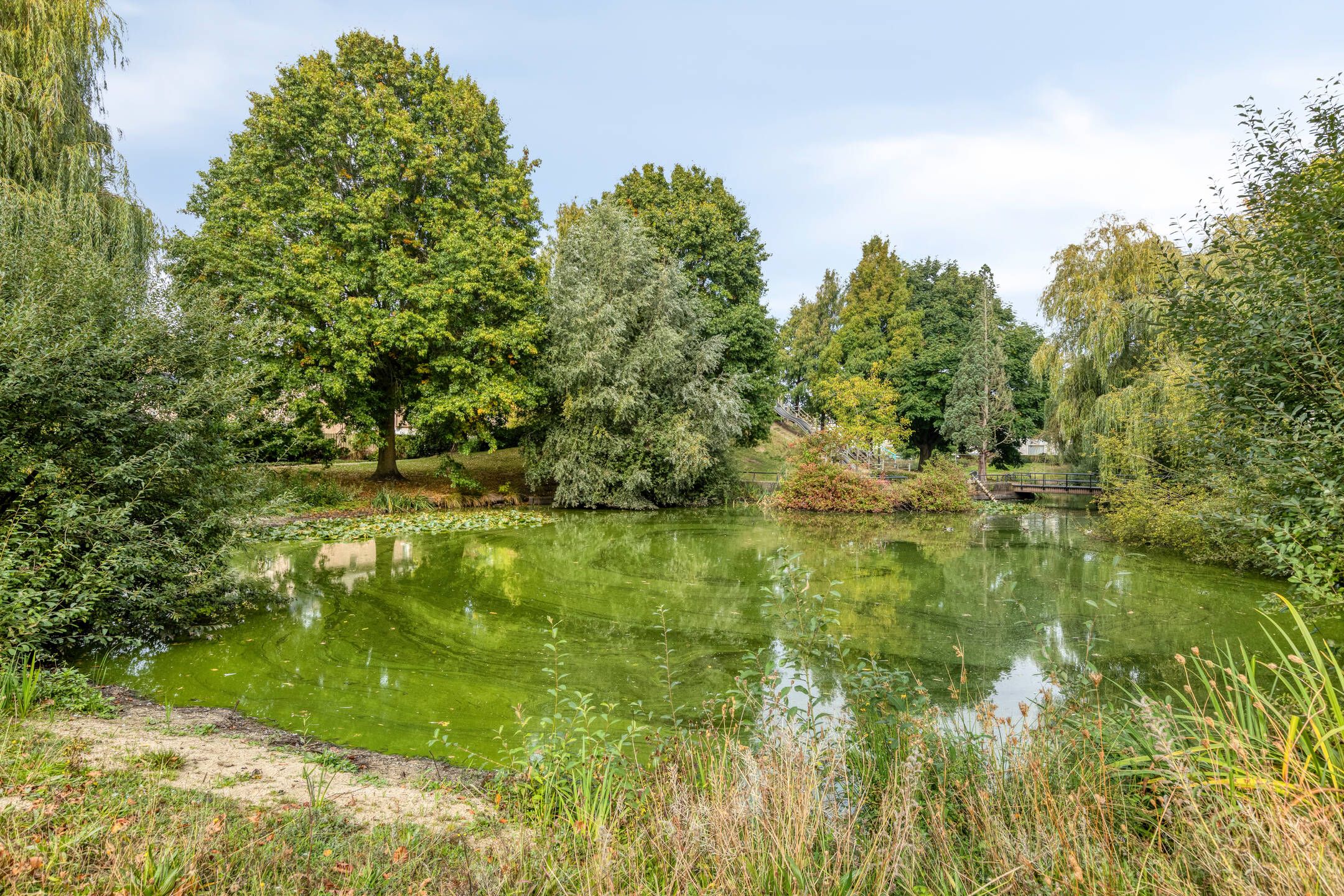 Photo 48 of Vunderke 16